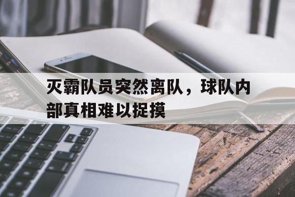 米兰体育app官方下载-灭霸队员突然离队，球队内部真相难以捉摸